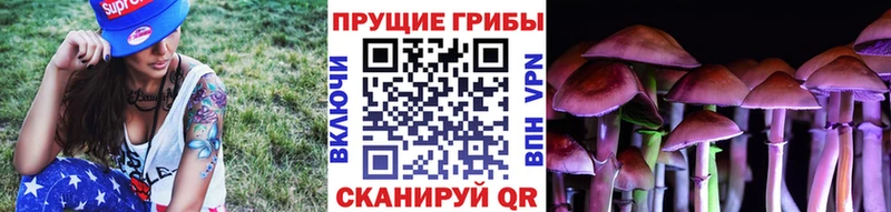 где можно купить   Киреевск  даркнет формула  Галлюциногенные грибы мухоморы 