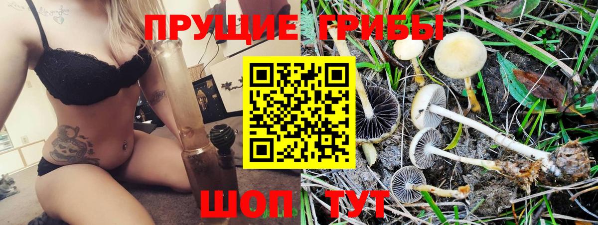 Галлюциногенные грибы MAGIC MUSHROOMS Киреевск